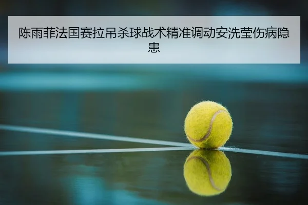 陈雨菲法国赛拉吊杀球战术精准调动安洗莹伤病隐患